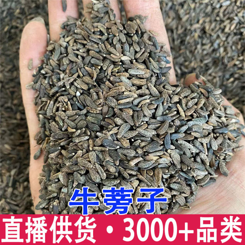牛蒡子批发一件代发量大从优