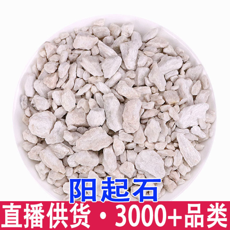 阳起石500克精选天然白石阳起石煅阳起石泡水泡酒阳