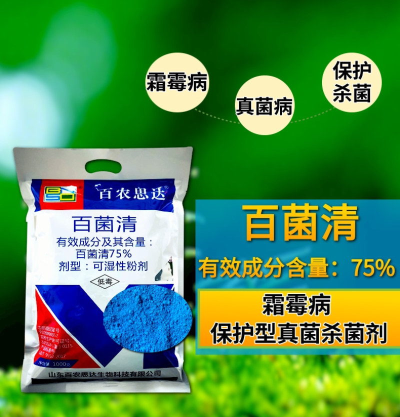 百农思达75%蓝粉百菌清杀菌剂霜霉病白粉病炭疽病真菌病害