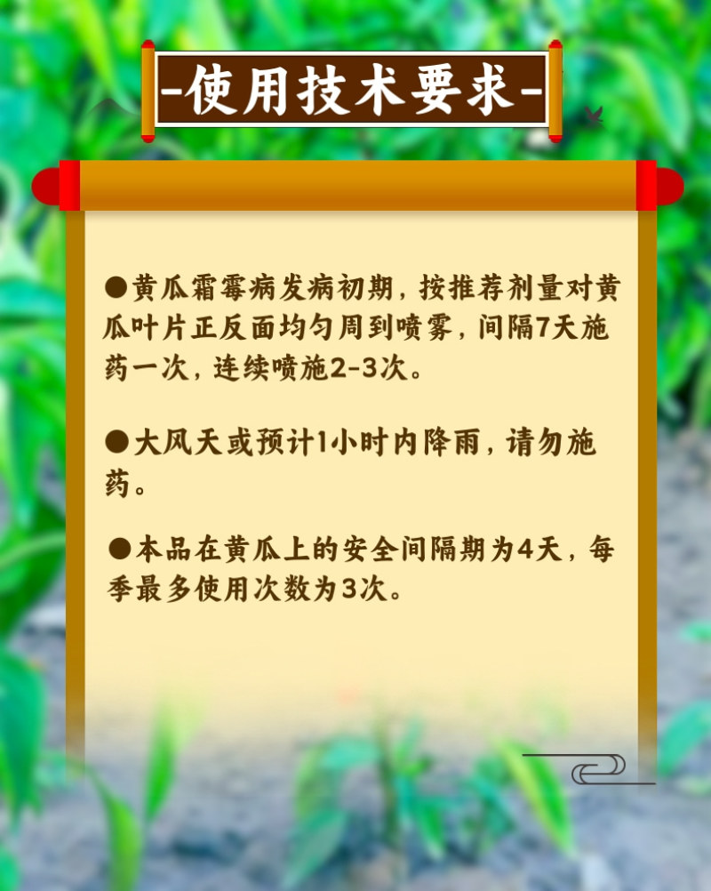 百农思达75%蓝粉百菌清杀菌剂霜霉病白粉病炭疽病真菌病害