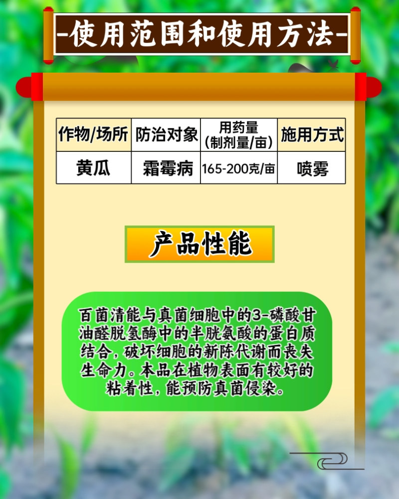 百农思达75%蓝粉百菌清杀菌剂霜霉病白粉病炭疽病真菌病害