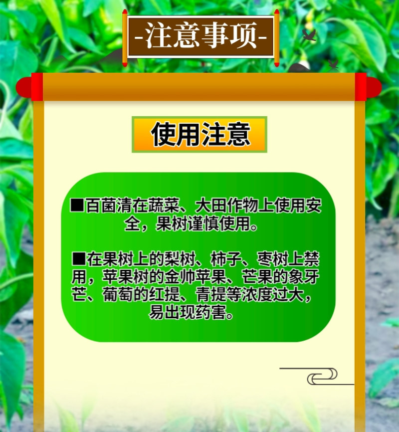 百农思达75%蓝粉百菌清杀菌剂霜霉病白粉病炭疽病真菌病害