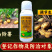 21%氯胆萘乙酸根茎膨大剂土豆花生大蒜红薯调节生长农药