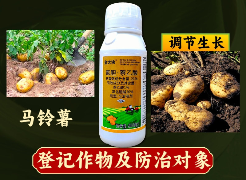 21%氯胆萘乙酸根茎膨大剂土豆花生大蒜红薯调节生长农药