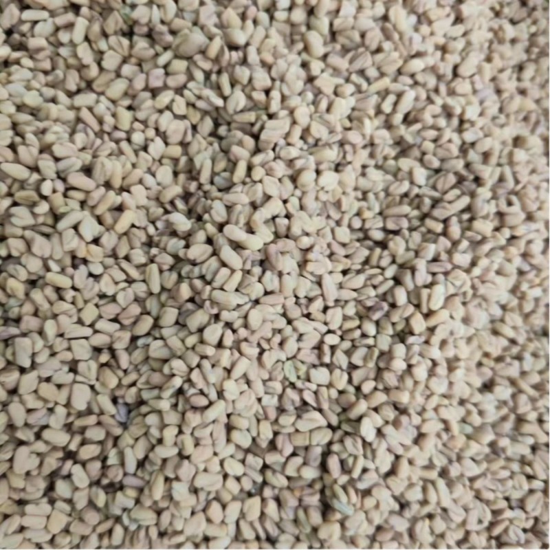 胡芦巴中葫芦巴子巴一件代发量大从优一手货