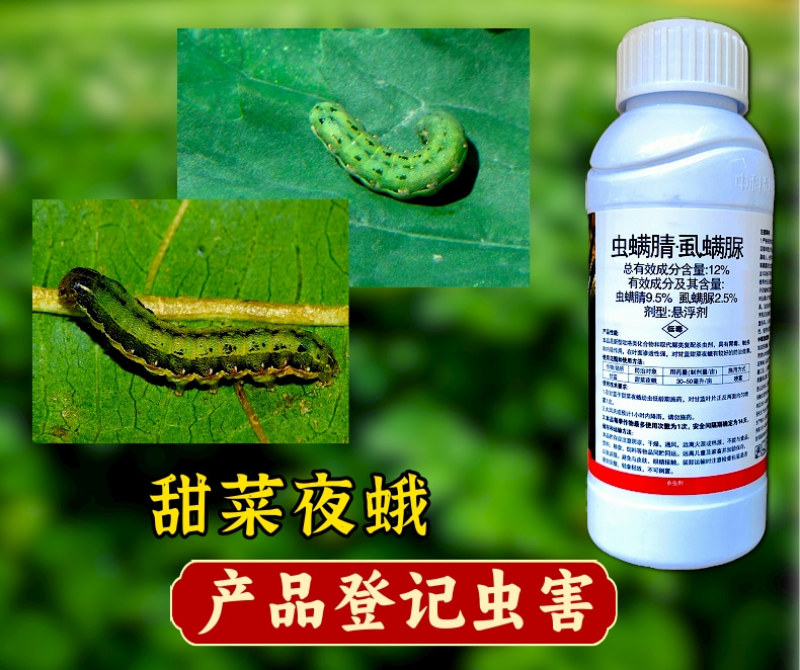 中科12%虫螨腈虱螨脲甜菜夜蛾菜青虫肉虫杀虫剂虫卵双杀