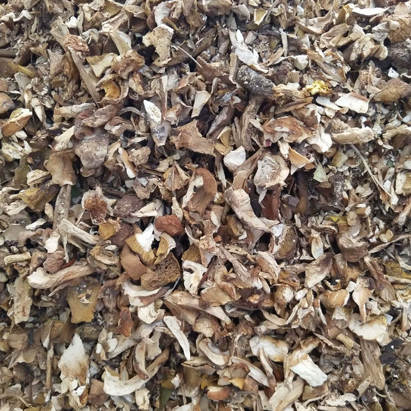 牛肝菌碎片黄牛肝菌美味牛肝菌熬汤牛肝菌火锅底料调汤