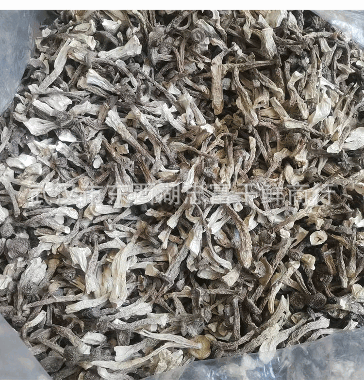 鹿茸菇云南特产鹿茸菇干货