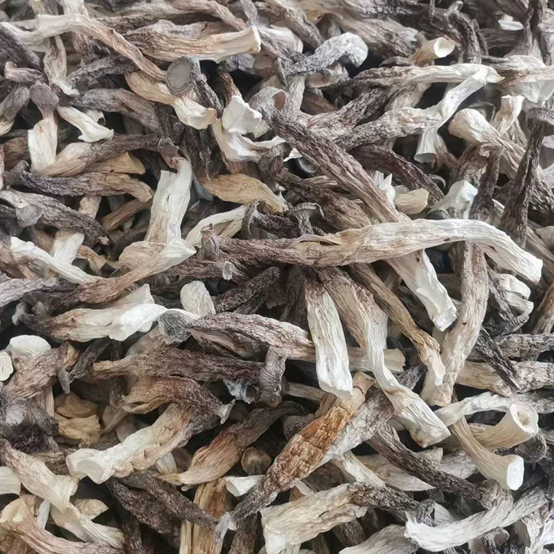 鹿茸菇云南特产鹿茸菇干货