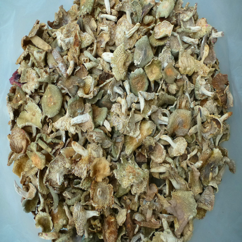 青头菌干货天然青头菇云南特产一件代发