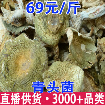 青头菌干货天然青头菇云南特产一件代发