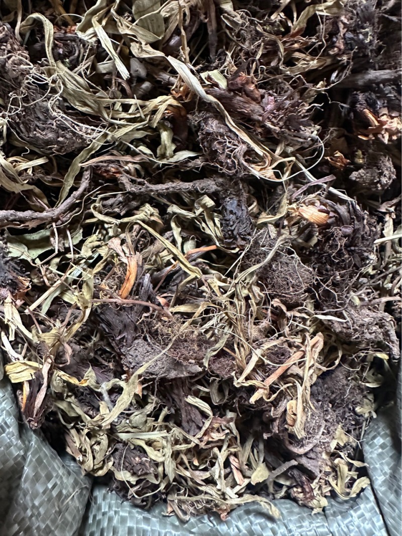 批发甘松甘松香香松甘香松