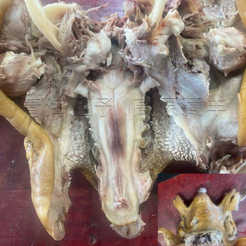 羊脸熟羊头青海藏羊精品现货不添加不注水真空