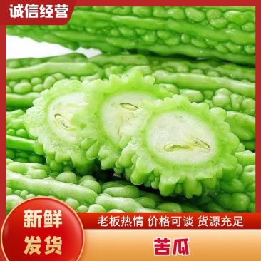 精品苦瓜大量上市，对接市场电商。支持各种规格，各种包装