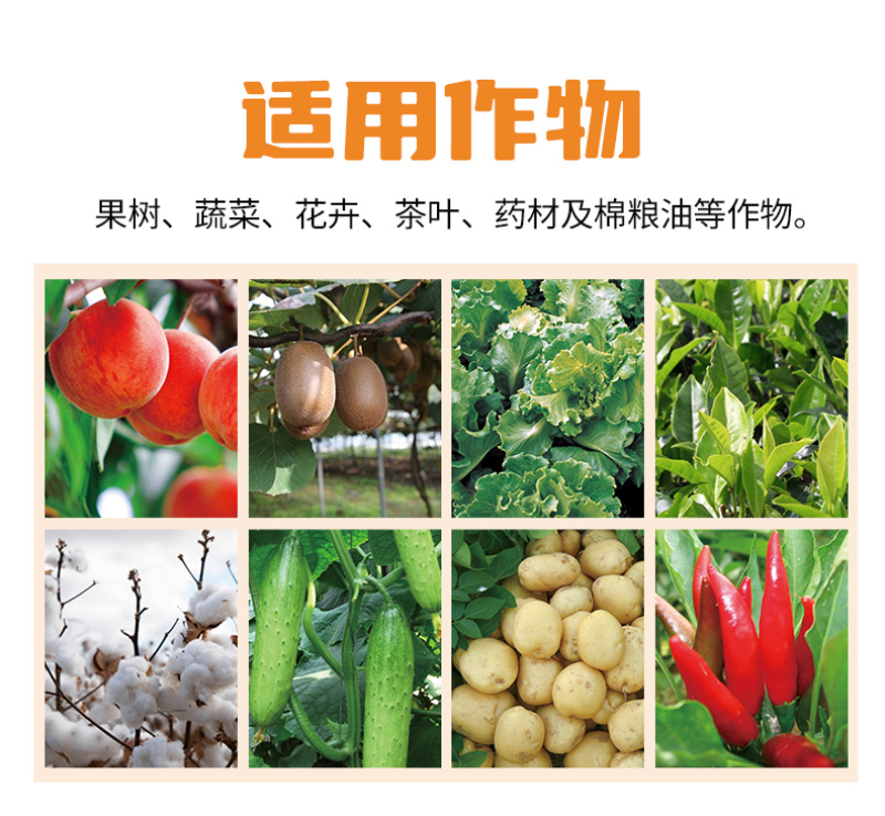 逸多根多生根壮根抑菌拒根多根长含氨基酸水溶肥