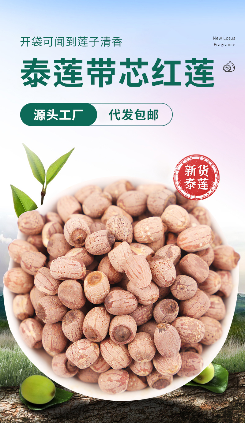 新莲小颗粒野生莲精选过筛红莲厂家直供