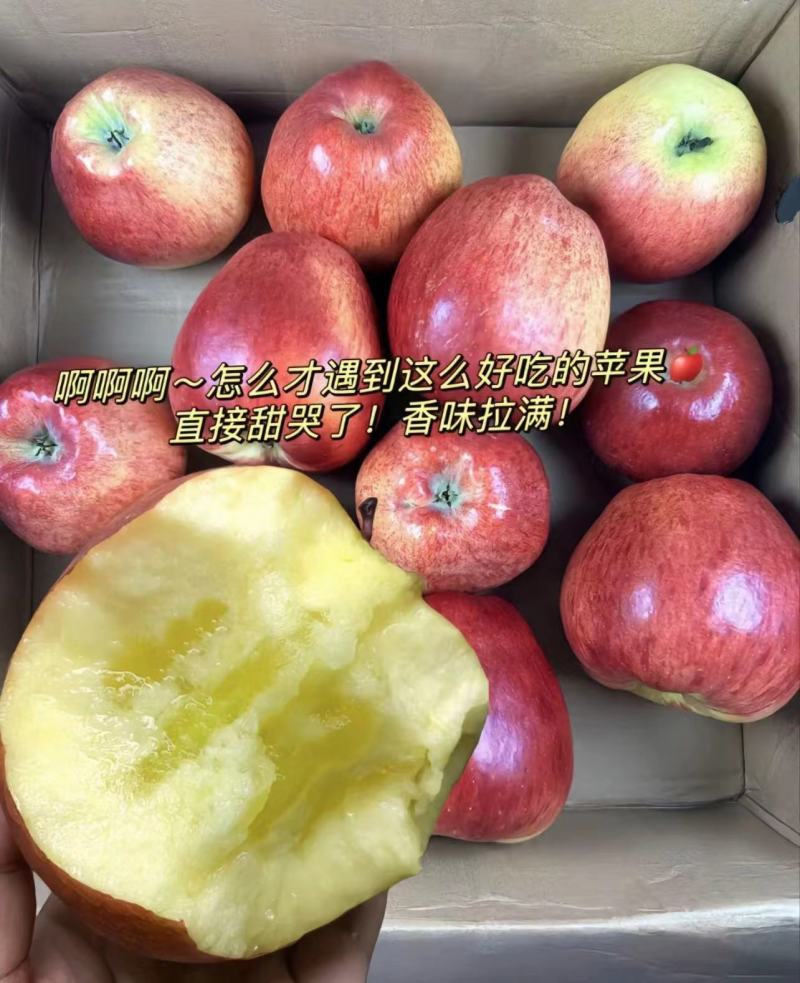 【精选】红露苹果产地大量上市中品质保证欢迎咨询合作