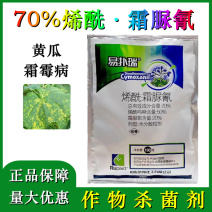 易扑瑞70%烯酰吗啉霜脲氰葡萄甜瓜西瓜霜霉病疫病白锈病杀