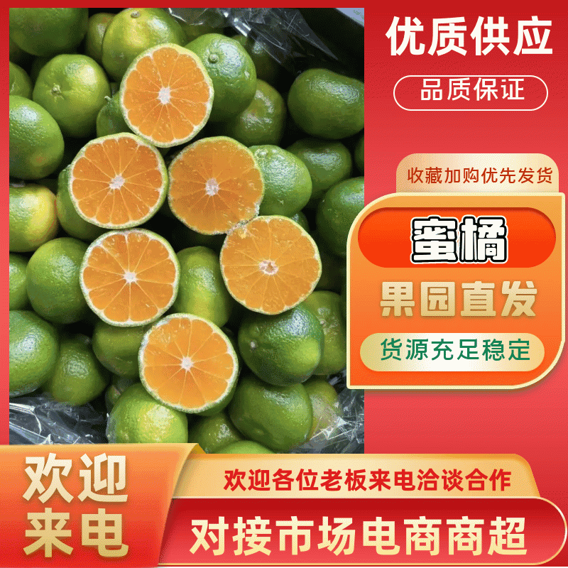 【精选】湖北蜜橘皮薄多汁-可对接商超-基地直发