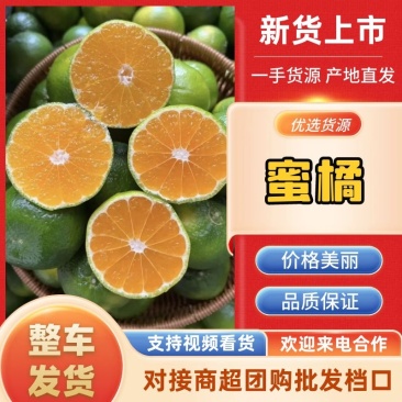 【优选】湖北皮薄多汁蜜橘-产地直发-价格优惠-可视频看货