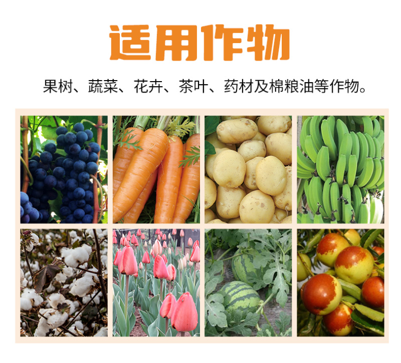 攻线凌淡紫紫孢菌根结线虫土壤改良微生物菌剂