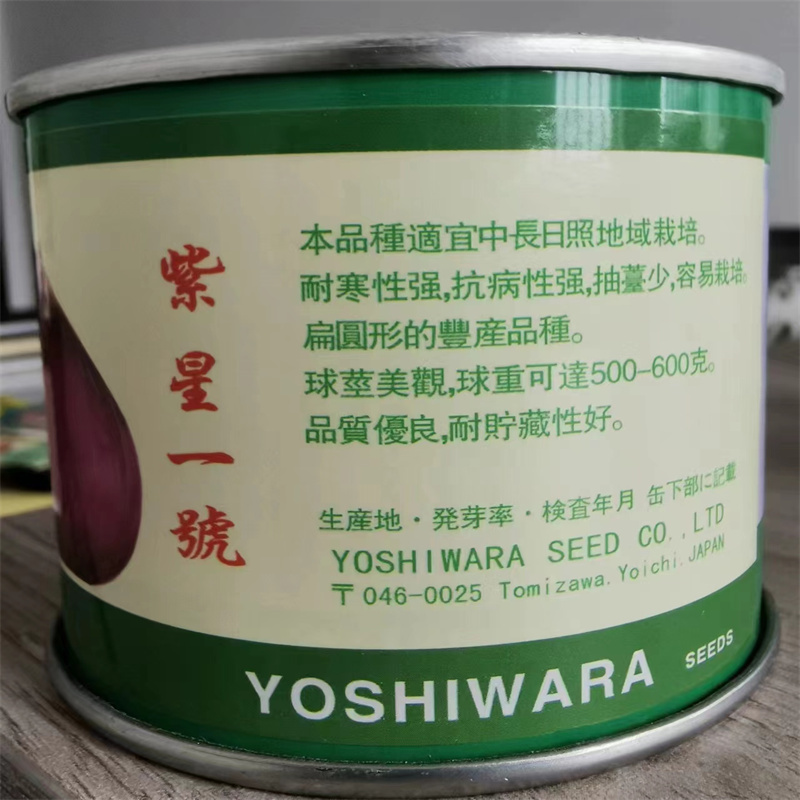 紫皮洋葱种子紫星一号耐寒高抗软腐病高扁洋葱种子