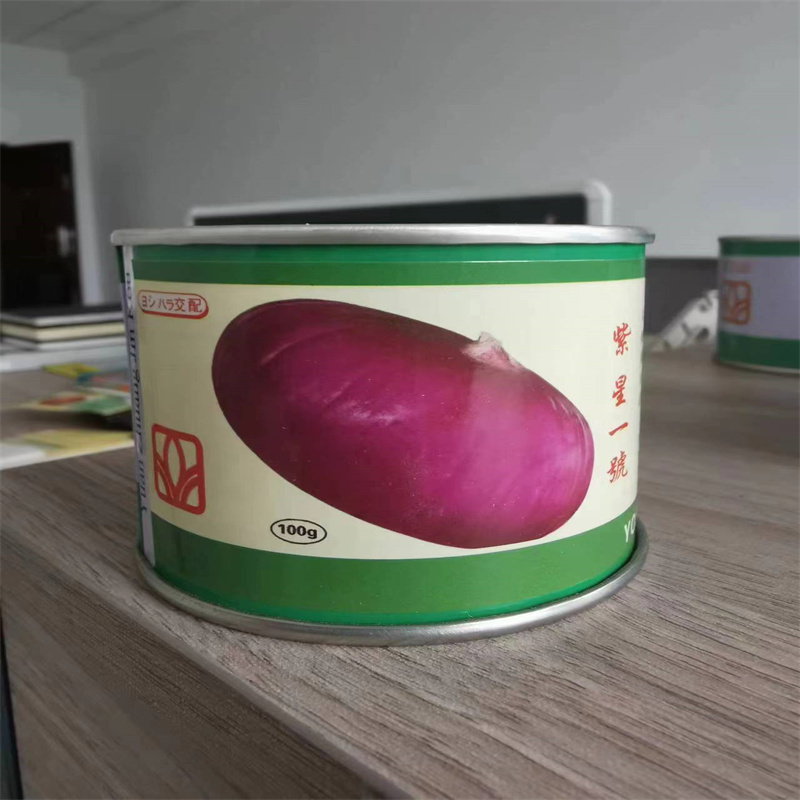 紫皮洋葱种子紫星一号耐寒高抗软腐病高扁洋葱种子