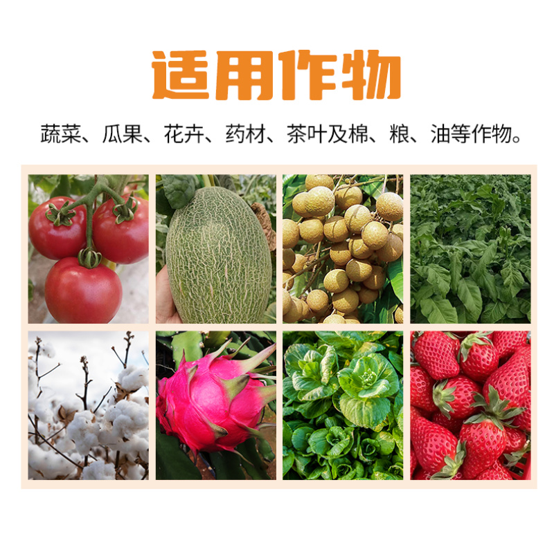 逸多硼猕猴桃柑橘棉花有机流体硼微量元素水溶肥