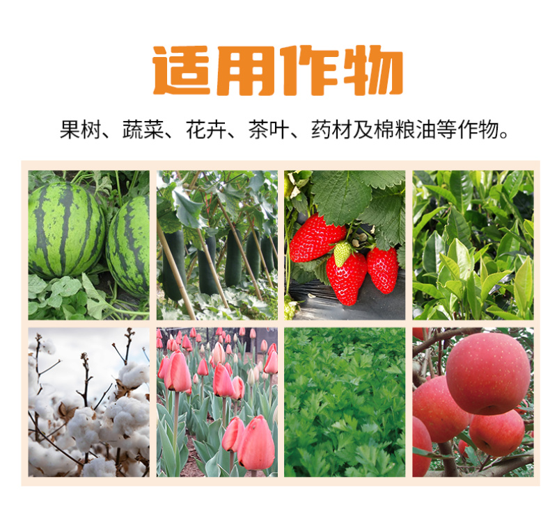 钙镁锌硼铁中量元素水溶肥