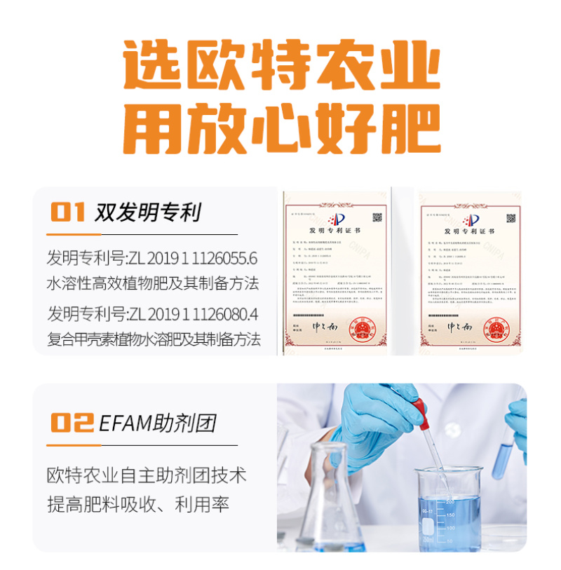 钙镁锌硼铁中量元素水溶肥