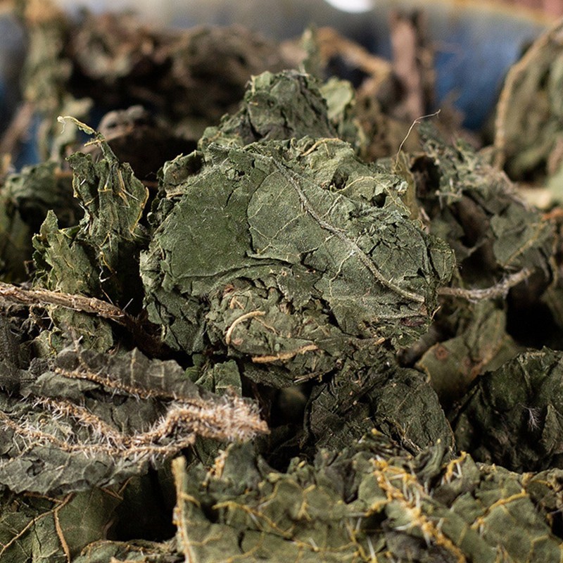 新货荨麻细粉中药粉