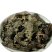 新货荨麻细粉中药粉