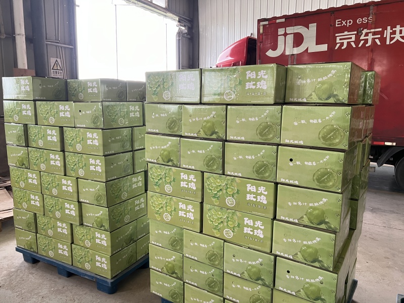 阳光玫瑰京东发货单果10g+果肉超细腻，水润甜蜜！