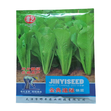 青梗小白菜种子金典速绿梗小白菜种子无茸毛耐热耐寒
