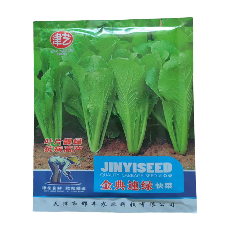青梗小白菜种子金典速绿梗小白菜种子无茸毛耐热耐寒