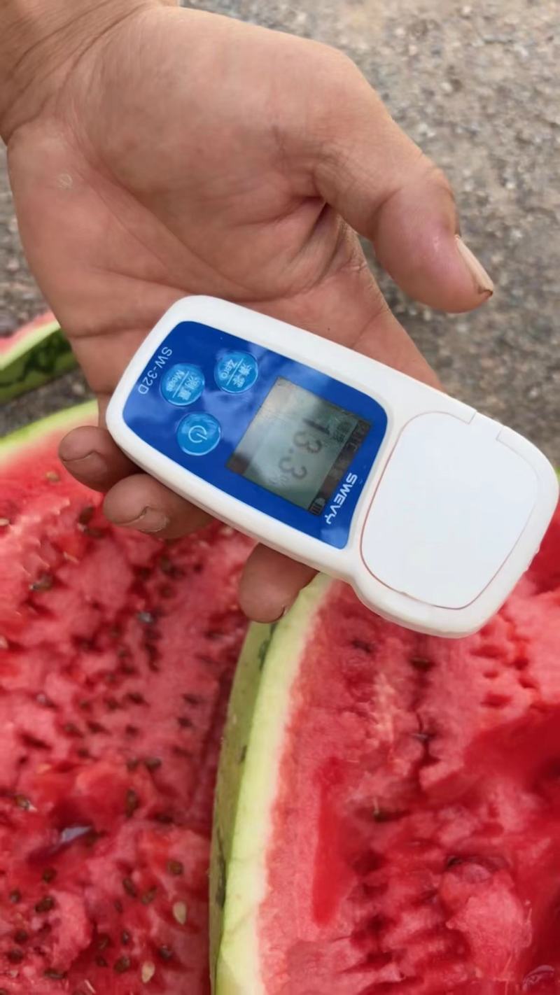 宁夏硒砂瓜宁夏中卫西瓜石头瓜糖度高脆甜瓜型好可视频