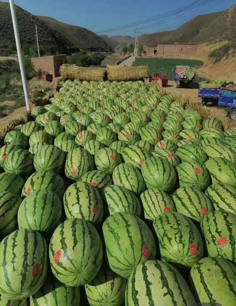 宁夏硒砂瓜宁夏中卫西瓜石头瓜糖度高脆甜瓜型好可视频