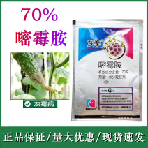灰拳40%嘧霉胺杀菌剂黄瓜番茄灰霉病叶霉病菌核病早疫病等