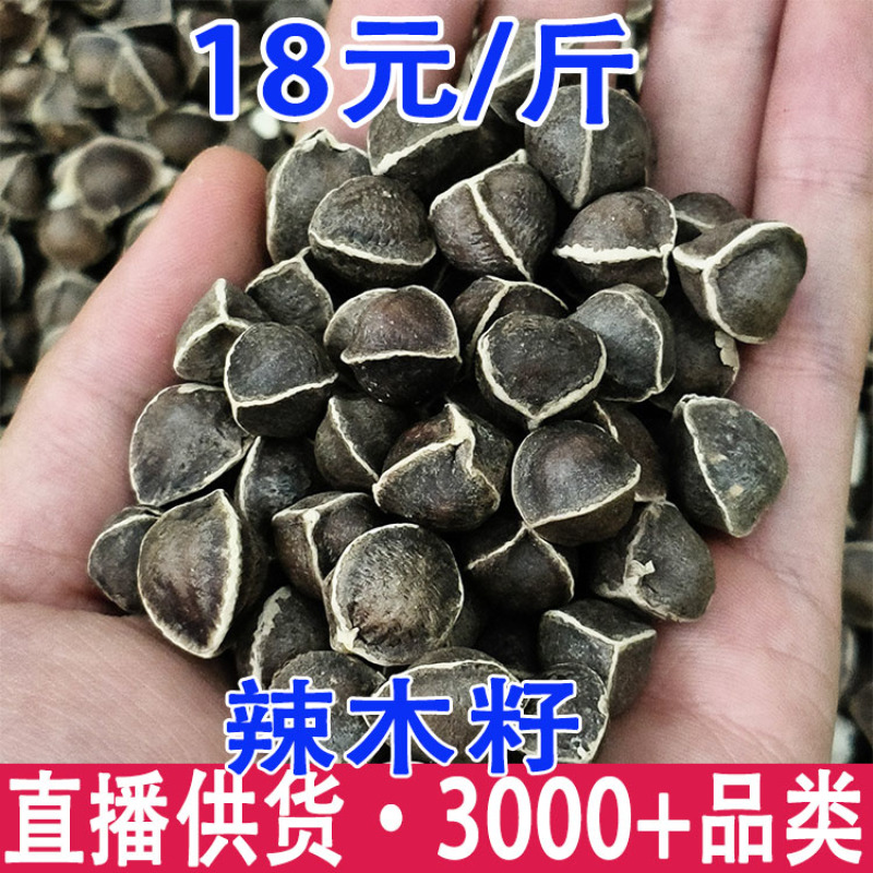 辣木籽大货批发产地直供人工挑选正宗原产地印度黑籽非洲籽各