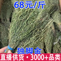 独脚金疳积草当季新货独角金孩儿草产地货源量大从优