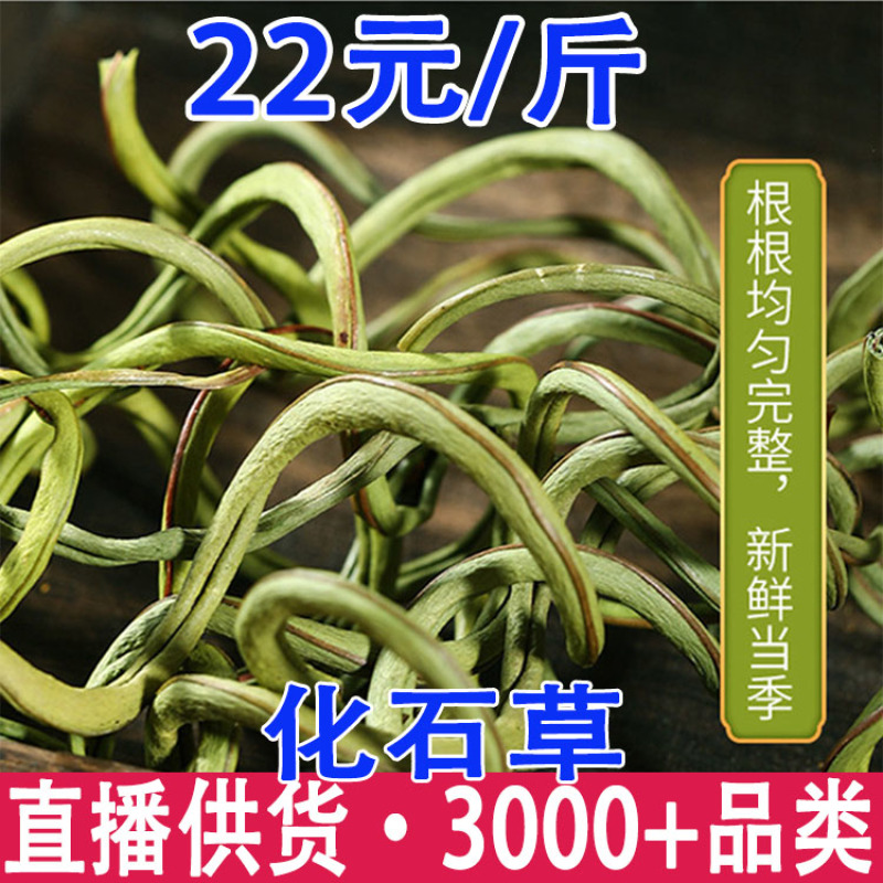 化石草肾精茶结石草大叶小叶化石草大货批发一件代发