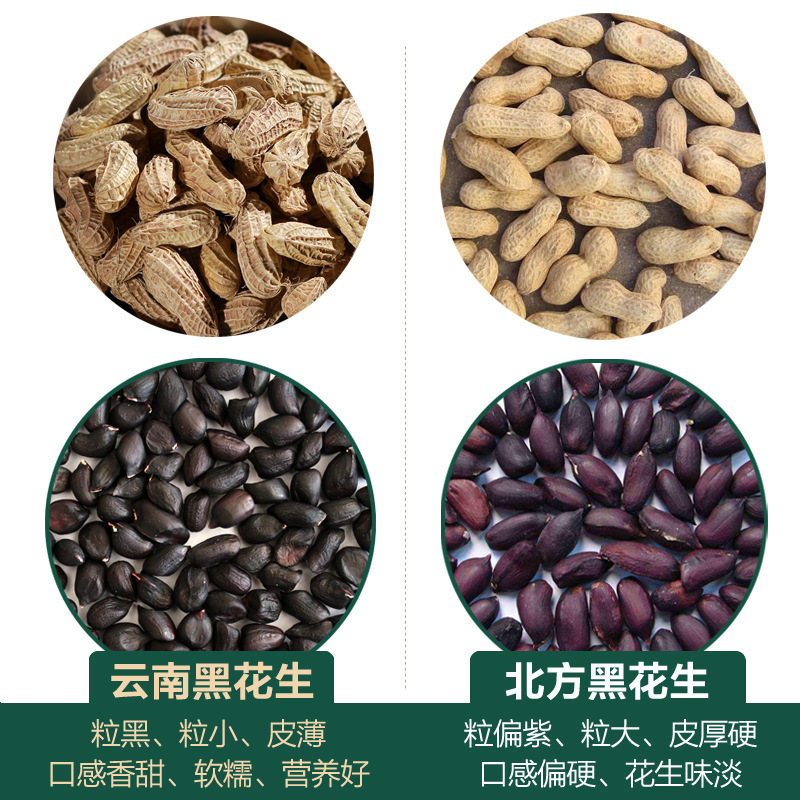 云南富硒黑花生黑花生带壳黑花生米生的批发一件代发