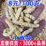 虫草参白虫草批发一件代发