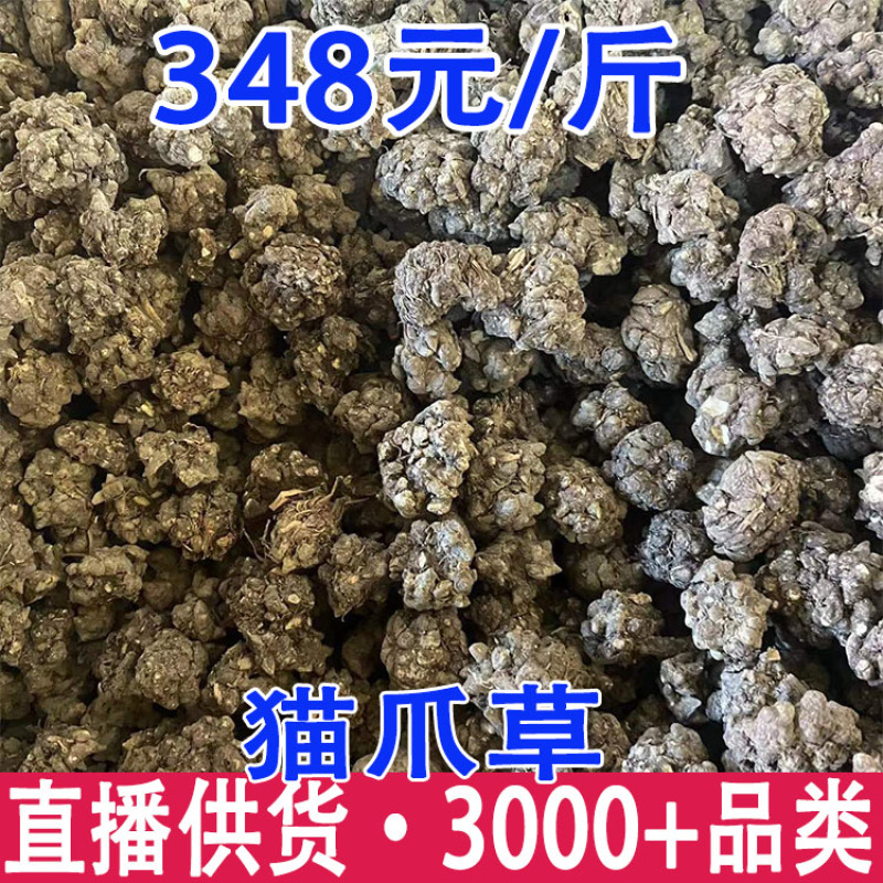 猫爪草猫抓草新货散装批发猫爪草洗货猫爪草批发