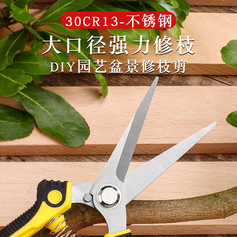 果树剪刀剪枝剪子修剪树枝剪刀强力修花剪园艺剪刀花卉园-1