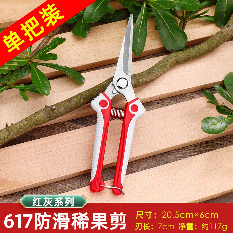 果树剪刀剪枝剪子修剪树枝剪刀强力修花剪园艺剪刀花卉-2