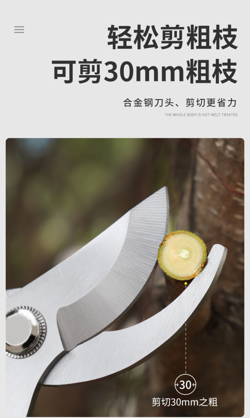 剪枝剪刀果树剪子修剪树枝剪刀强力修花剪园艺剪刀花卉园林修