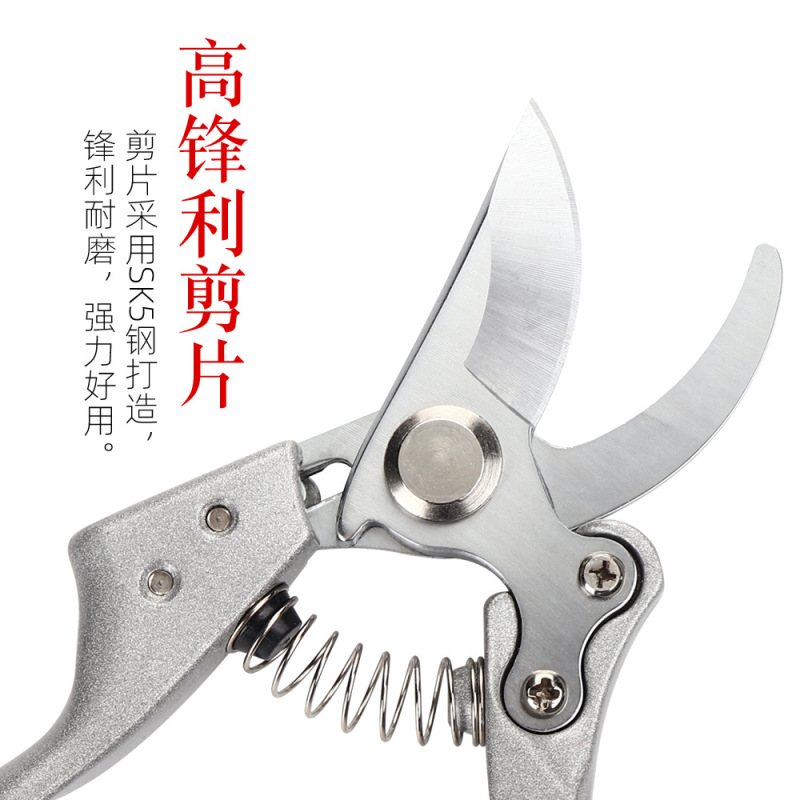 剪枝剪刀果树剪子修剪树枝剪刀强力修花剪园艺剪刀花卉园林修