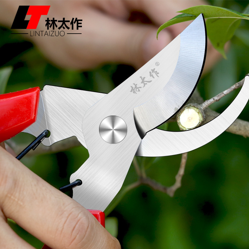 林太作园林剪不锈钢修枝剪刀园艺盆景花枝剪粗枝大口径