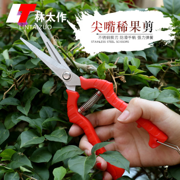 不锈钢修枝剪多功能园艺剪刀果园花枝摘果剪园林树枝工-3